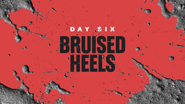 Day 6: Bruised Heels
