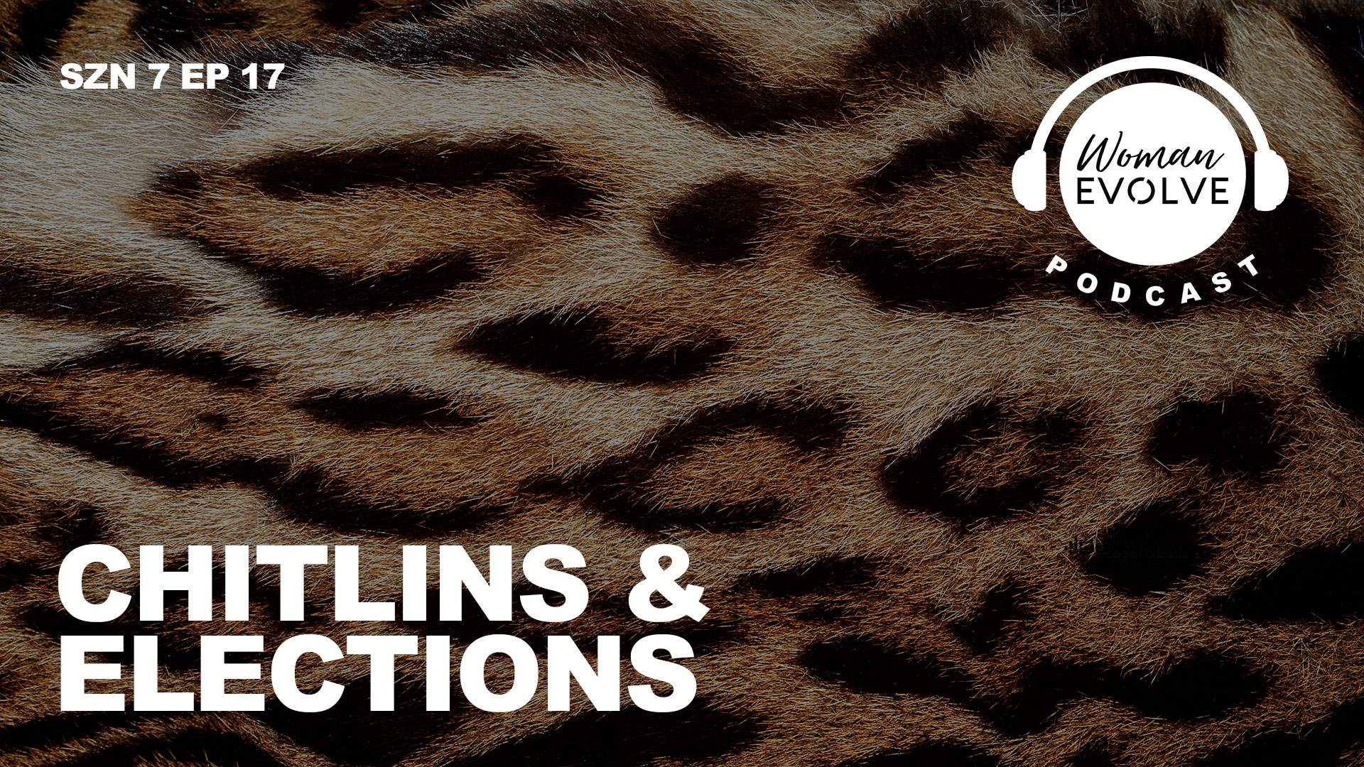 Chitlins & Elections