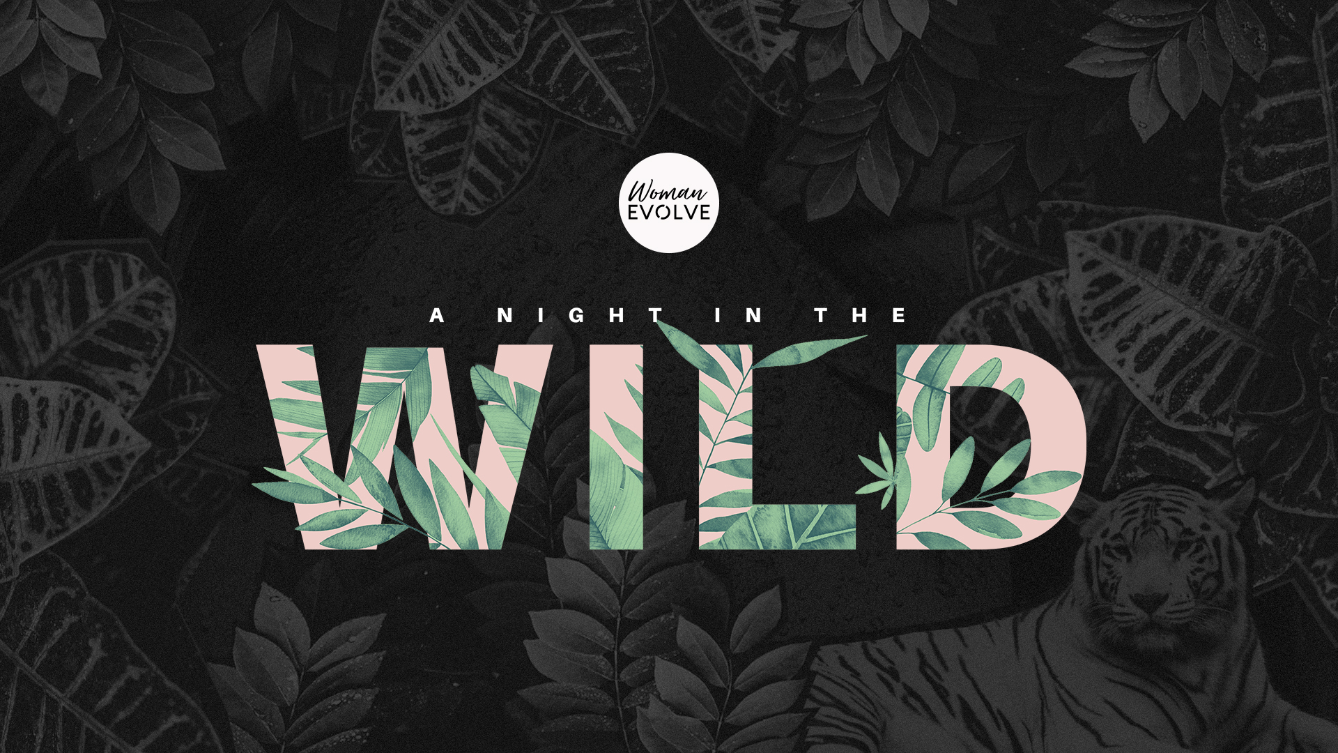 Night In the Wild Tour