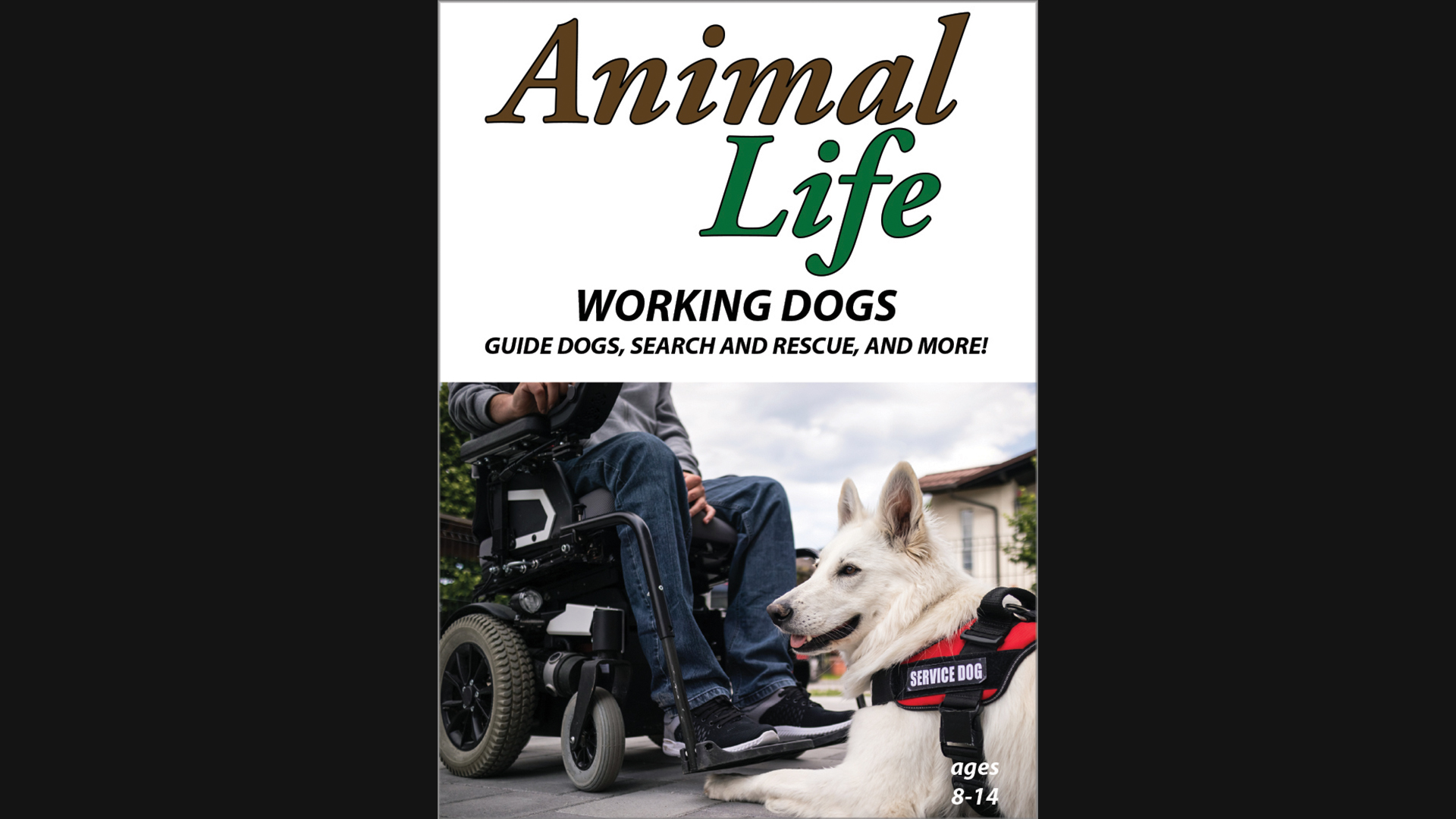Animal Life: Working Dogs