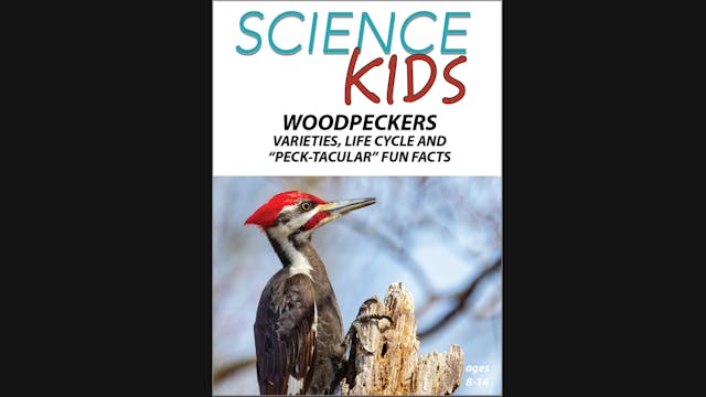 Science Kids: Woodpeckers