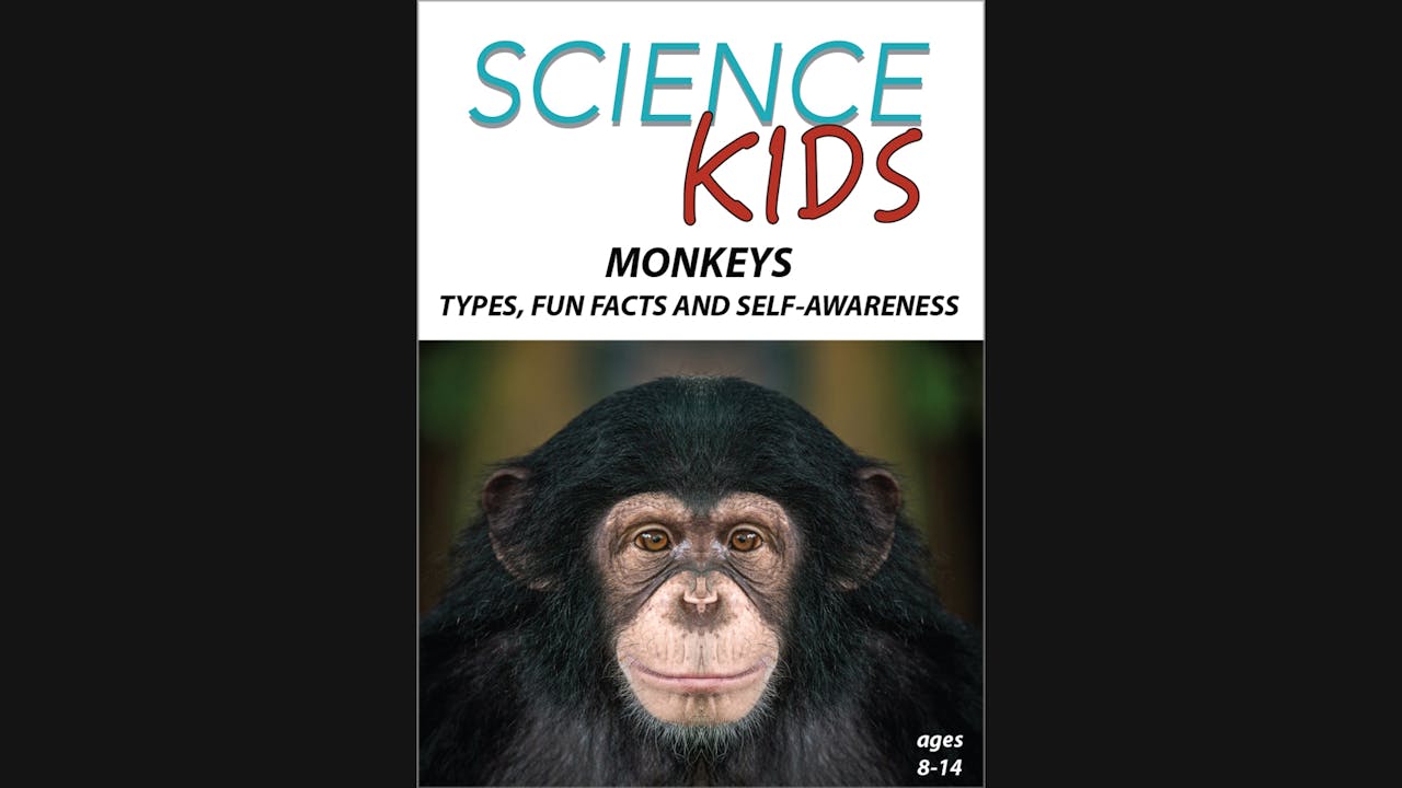 Science Kids - Monkeys - Science Kids - Grades 4 - 9 - Wonderscape ...