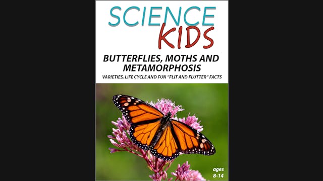 Science Kids - Butterflies and Moths