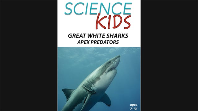 Science Kids - Great White Sharks - A...