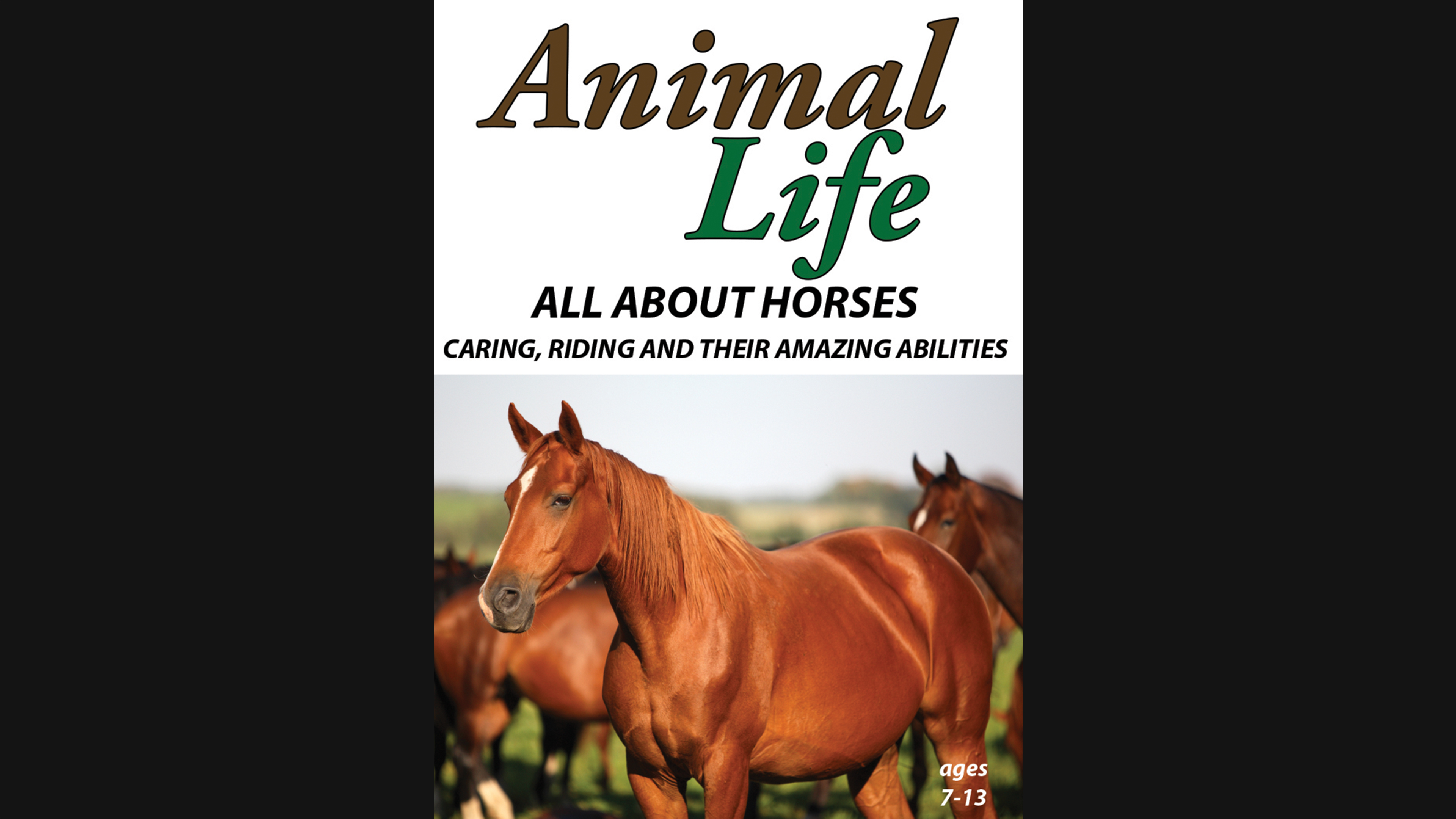 Animal Life - All About Horses - Caring, Riding and their Amazing Abilities