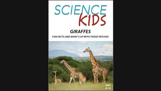 Science Kids - Giraffes