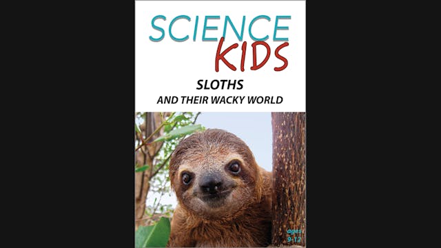 Science Kids - Sloths and Their Wacky...