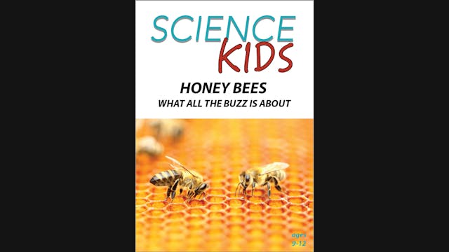 Science Kids - Honey Bees - What All ...
