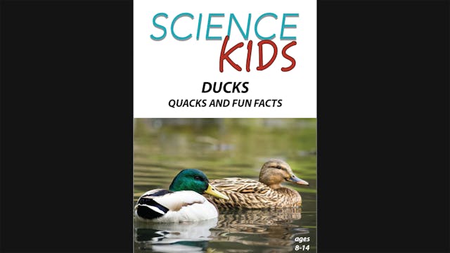 Science Kids - Ducks - Quacks and Fun...