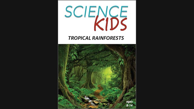 Science Kids - Tropical Rainforests