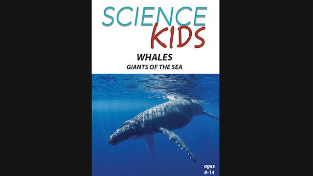 Science Kids - Whales - Giants of the...