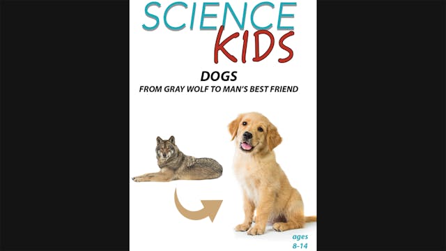 Science Kids - Dogs - From Gray Wolf ...