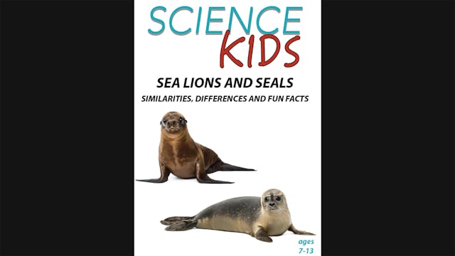 Science Kids - Sea Lions and Seals - ...