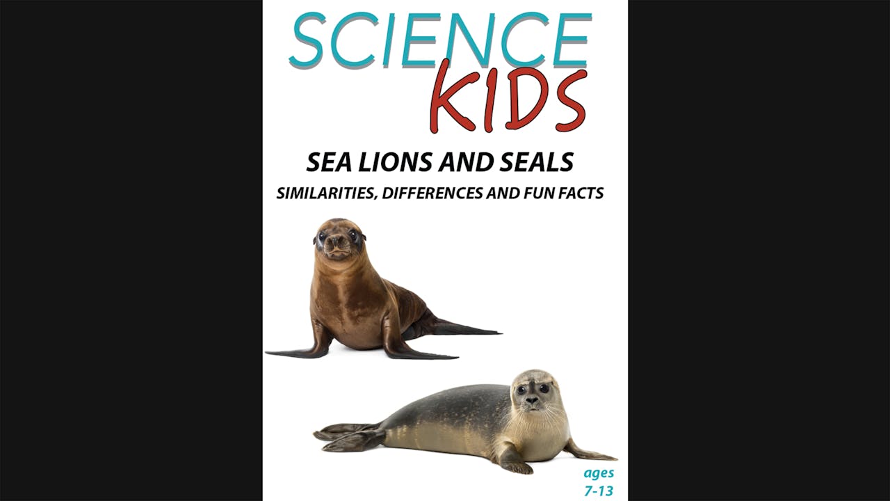 Science Kids - Sea Lions and Seals - Similarities, Differences and Fun