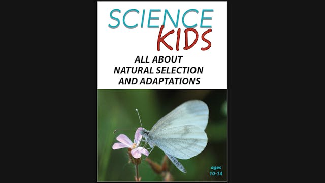 Science Kids - All About Natural Sele...