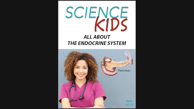 Science Kids - All About The Endocrin...