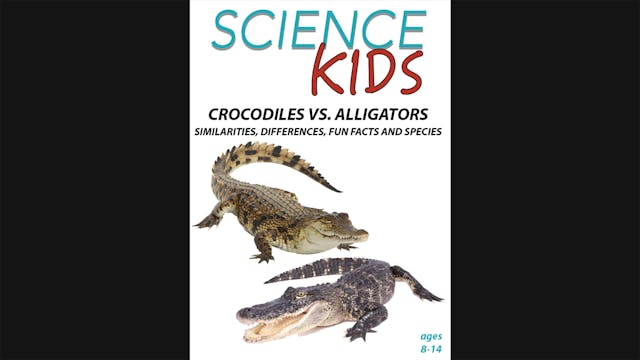 Science Kids - Crocodiles vs. Alligat...