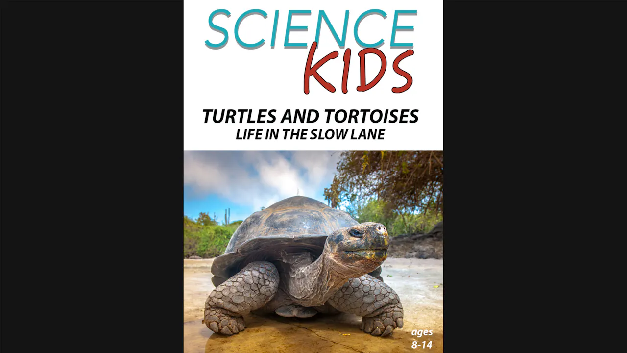 Science Kids - Turtles and Tortoises - Life in the Slow Lane - Science ...
