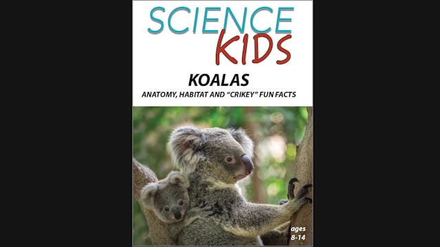 Science Kids: Koalas