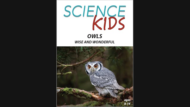 Science Kids - Owls