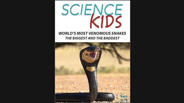Science Kids: World's Most Venomous S...