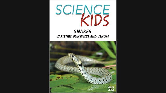 Science Kids - Snakes