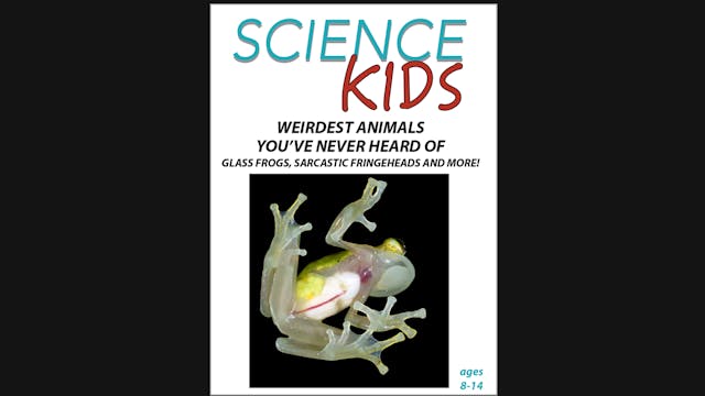 Science Kids: Weirdest Animals You've...