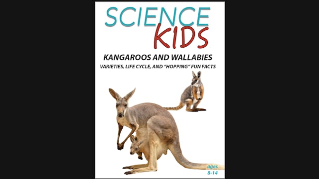 Science Kids: Kangaroos and Wallabies