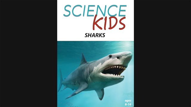 Science Kids - Sharks