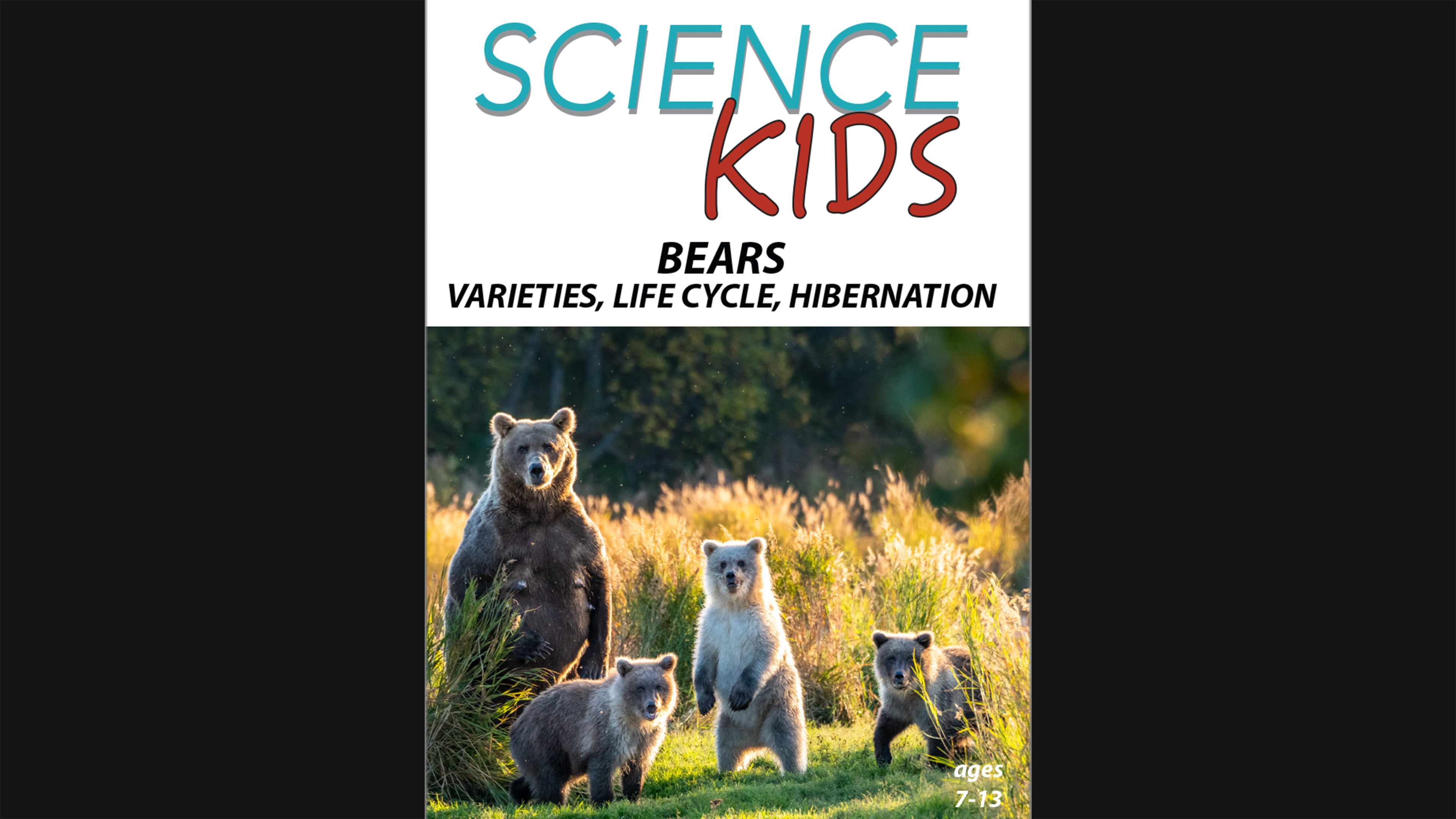 Science Kids:  Bears - Varieties, Life Cycle, Hibernation