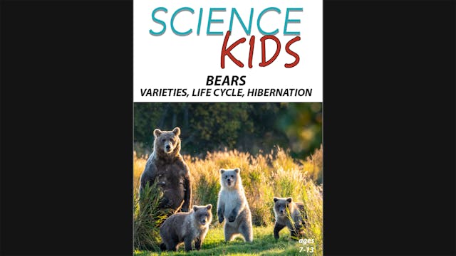 Science Kids:  Bears - Varieties, Lif...