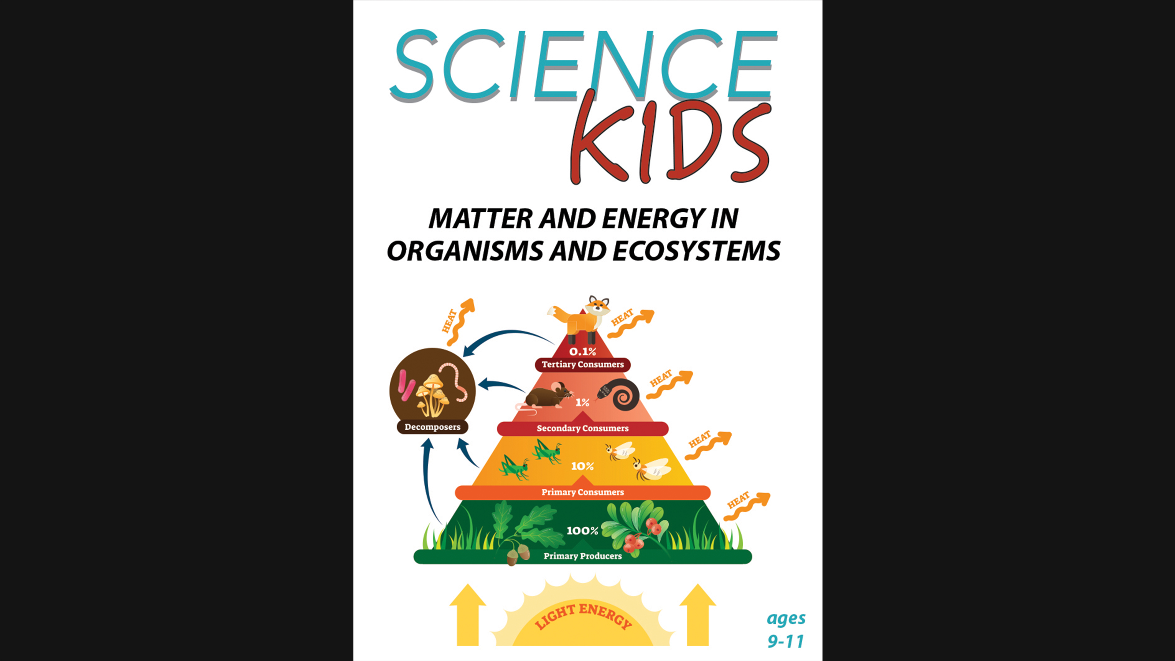 Science Kids - Matter and Energy in Organisms and Ecosystems