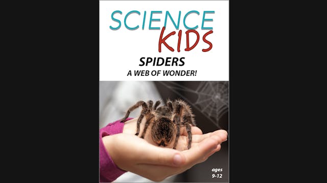 Science Kids - Spiders - A Web of Wonder