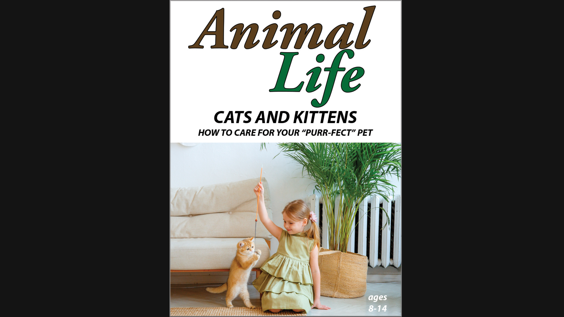 Animal Life: Cats and Kittens