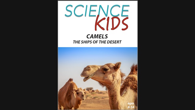 Science Kids - Camels