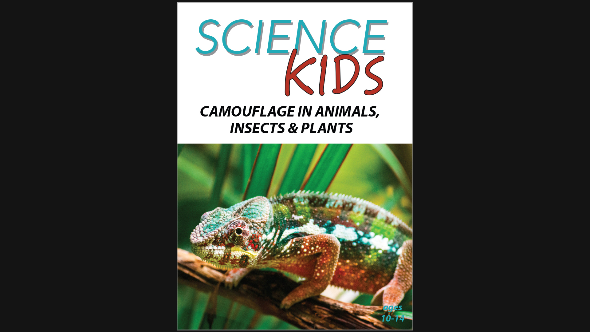 Science Kids - Camouflage in Animals, Insects & Plants