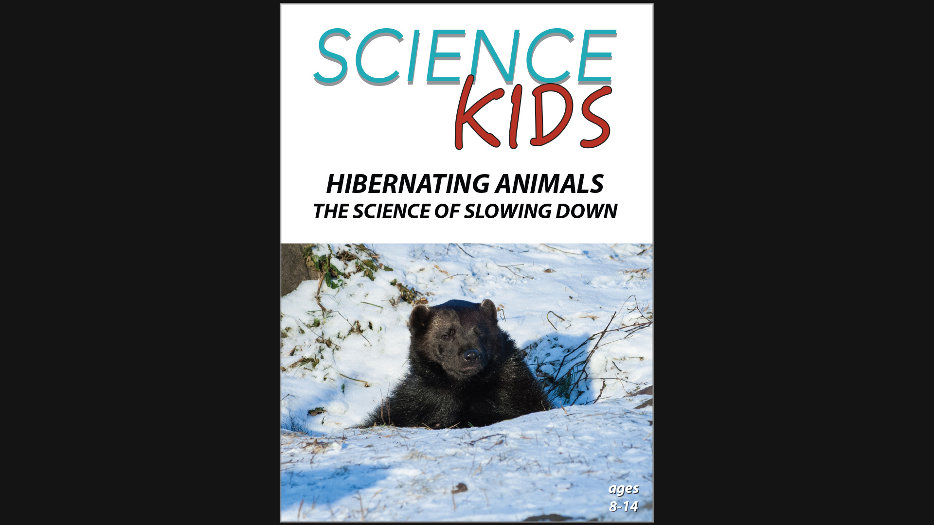 Science Kids - Hibernating Animals - The Science of Slowing Down
