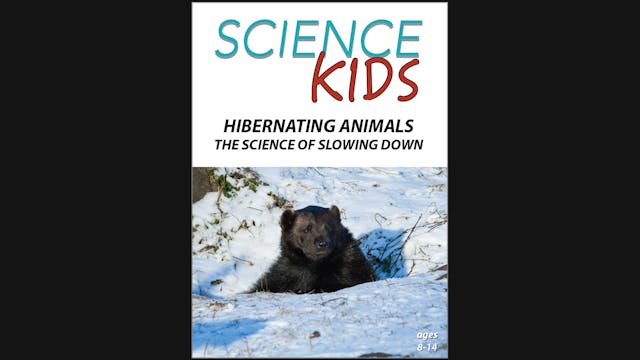 Science Kids - Hibernating Animals - ...