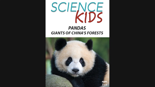 Science Kids - Pandas - Giants of China's Forests