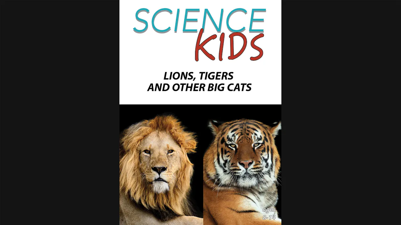 Science Kids - Lions, Tigers and Other Big Cats - Science Kids - Grades ...