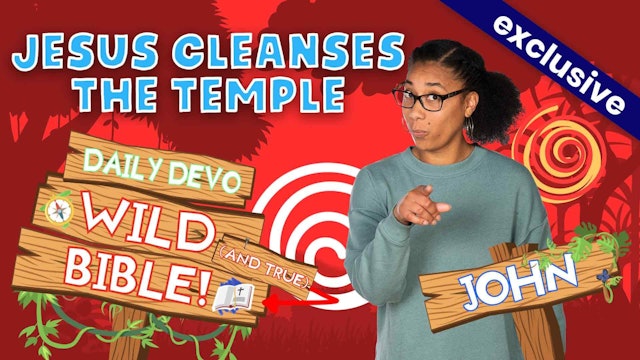 #670 - Jesus Cleanses the Temple