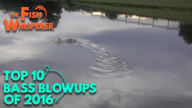 Top 10 Bass Blowups of 2016!