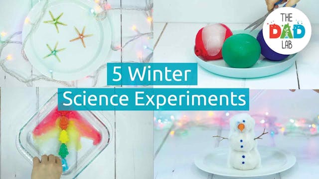 Top 5 Must-Try Christmas Science Acti...