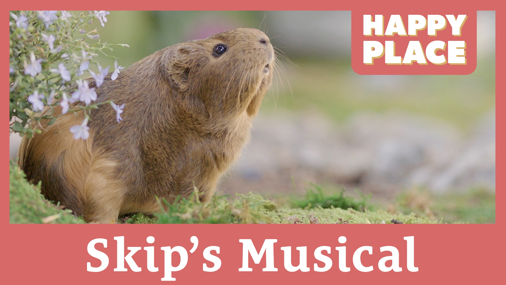 Skip's Musical