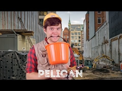 Pelican - Animal Facts 