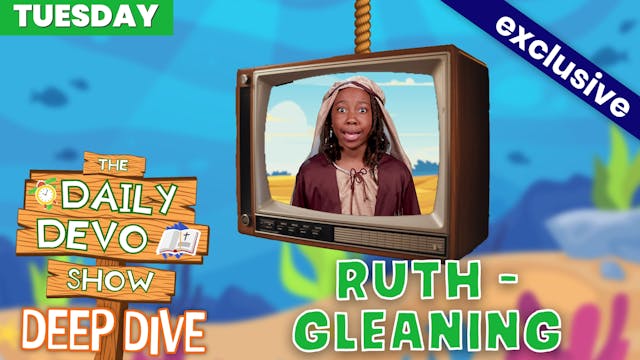 #878 - RUTH - Gleaning