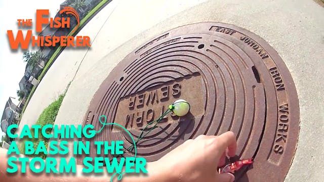 Catching a Bass in the Storm Sewer