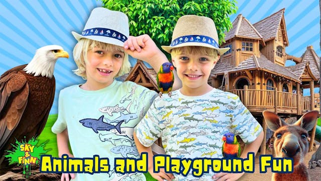 Animals and Playground Fun