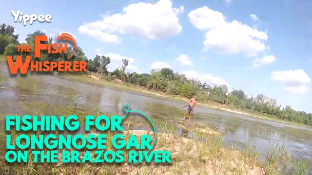 Fishing for Longnose Gar on the Brazos River