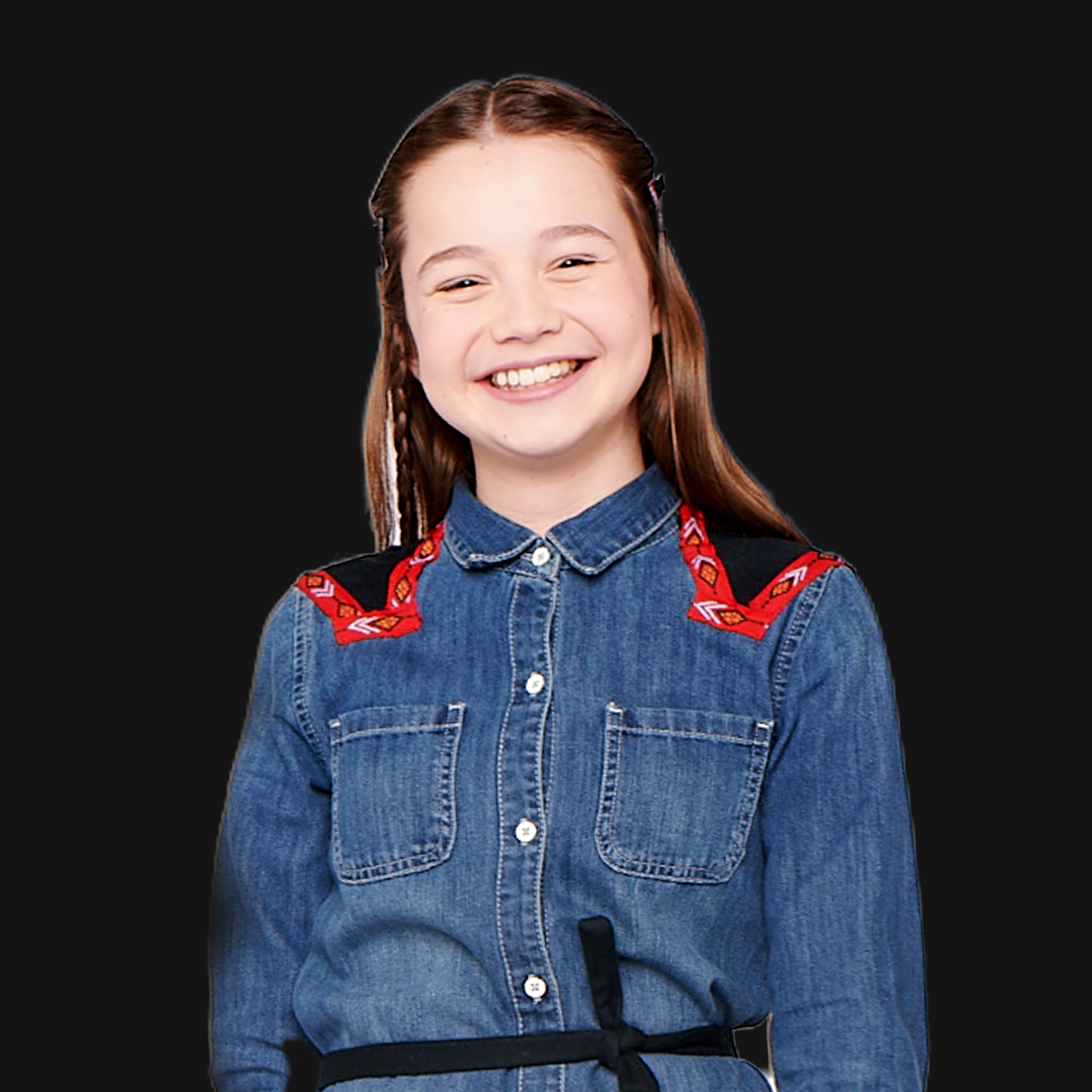 Ponysitter's Club: The Big Sleepover